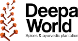 Deepa Spice World